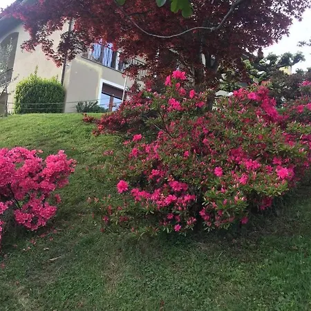 A Casa Di Sissi Apartment Biella