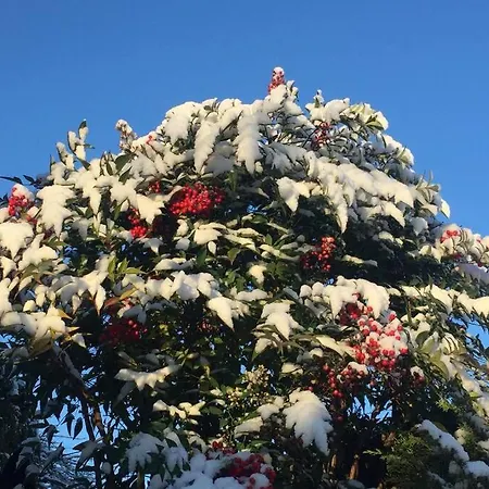 A Casa Di Sissi ビエッラ