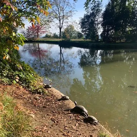 A Casa Di Sissi 公寓 比耶拉