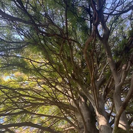 公寓 A Casa Di Sissi