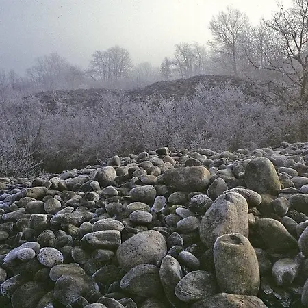 A Casa Di Sissi 公寓