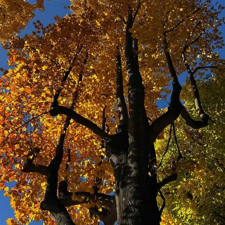 A Casa Di Sissi 公寓 *