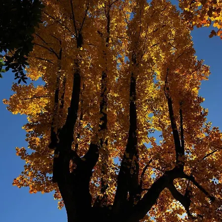 A Casa Di Sissi 比耶拉