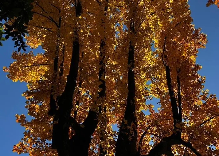 A Casa Di Sissi Biella